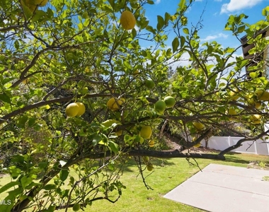 30772 Mainmast Drive - Photo Thumbnail 33