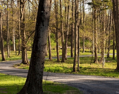 36 Pilgrims Progress Road - Photo Thumbnail 33