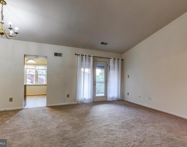 1427 Oronoco Street - Photo Thumbnail 7