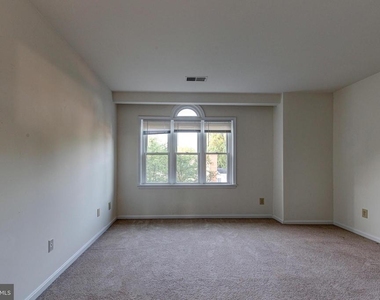 1427 Oronoco Street - Photo Thumbnail 11