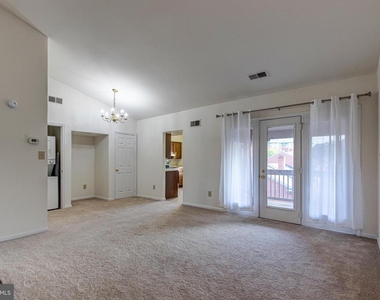 1427 Oronoco Street - Photo Thumbnail 2