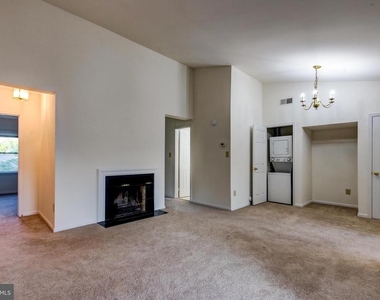 1427 Oronoco Street - Photo Thumbnail 4