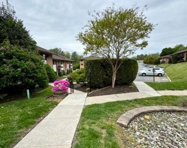1016 W Baltimore Pike - Photo Thumbnail 19