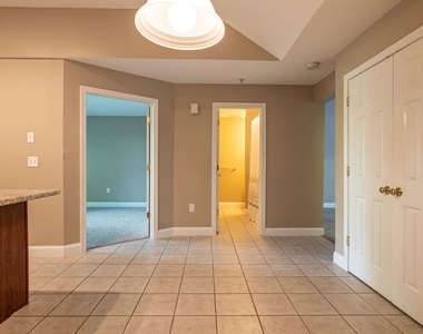 45 Bog - Photo Thumbnail 10