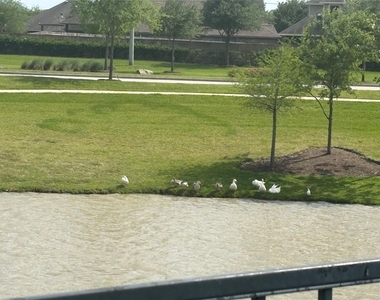 5139 Spring Terrace Lane - Photo Thumbnail 4