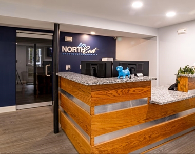 1029 Mammoth - Photo Thumbnail 17