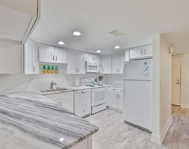 1028 Apollo Beach Boulevard - Photo Thumbnail 2