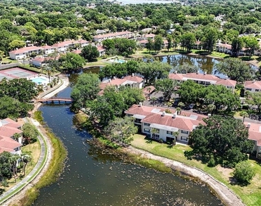 10346 Carrollwood Lane - Photo Thumbnail 25