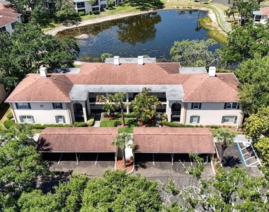 10346 Carrollwood Lane - Photo Thumbnail 29