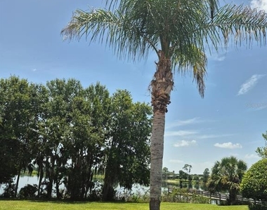 389 Nolane Lane - Photo Thumbnail 14