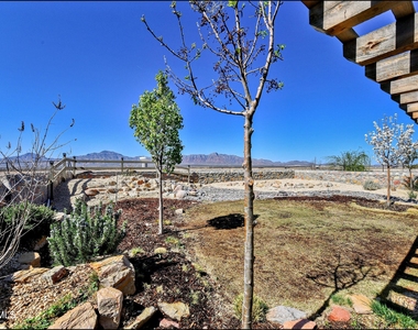 6952 Black Mesquite Drive - Photo Thumbnail 42