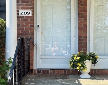 289 Bridge Street - Photo Thumbnail 25