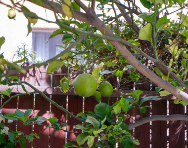 4707 Calle Cancun - Photo Thumbnail 42