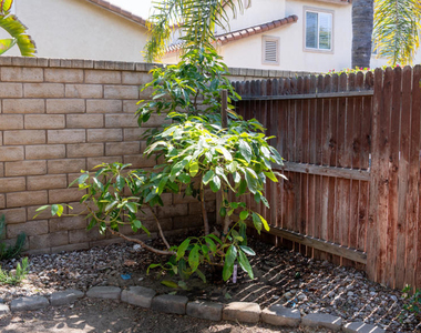 4707 Calle Cancun - Photo Thumbnail 39