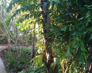 1020 Pinetree Drive - Photo Thumbnail 2