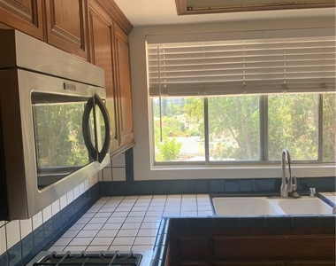 228 W Avenida De Las Flores - Photo Thumbnail 8