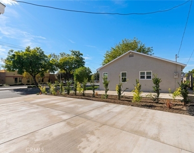 267 Olive - Photo Thumbnail 23