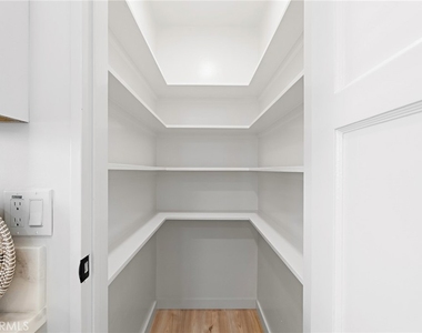 267 Olive - Photo Thumbnail 6