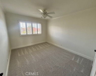 3571 Carnation - Photo Thumbnail 30