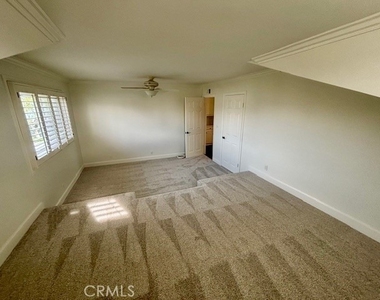 3571 Carnation - Photo Thumbnail 31