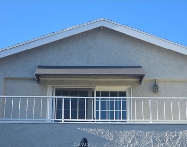 3571 Carnation - Photo Thumbnail 1