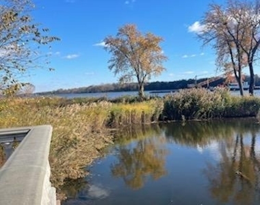 120 Prince George Street - Photo Thumbnail 25