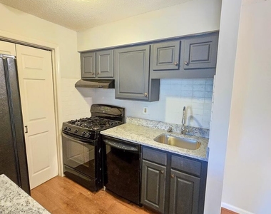 1300 Hillbrow Lane - Photo Thumbnail 8