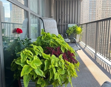 10 E Ontario Street - Photo Thumbnail 17