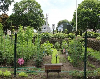 330 Main St - Photo Thumbnail 5