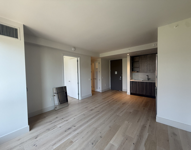 251 East 2nd Street - Photo Thumbnail 1