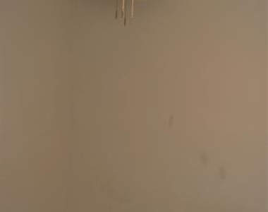 1609 Wayne Street - Photo Thumbnail 3