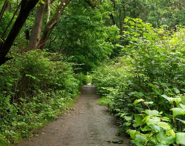 1095 Route 9w S - Photo Thumbnail 9