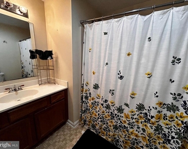 2638 Daniel Terrace - Photo Thumbnail 14