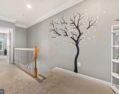 3565 Holborn Place - Photo Thumbnail 15