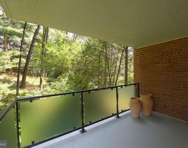 4201 Cathedral Avenue Nw - Photo Thumbnail 13
