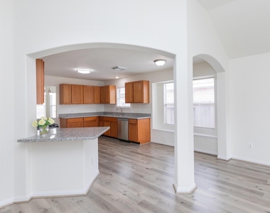 16307 Goanna Court - Photo Thumbnail 16