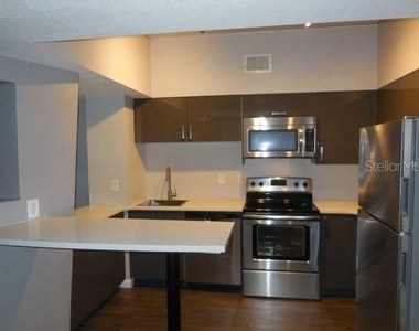 2411 W Horatio Street - Photo Thumbnail 1