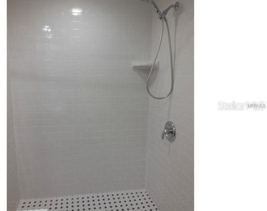 2411 W Horatio Street - Photo Thumbnail 7