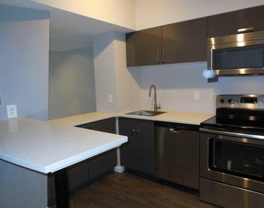 2411 W Horatio Street - Photo Thumbnail 3