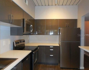 2411 W Horatio Street - Photo Thumbnail 2