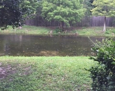4134 Bismarck Palm Drive - Photo Thumbnail 2