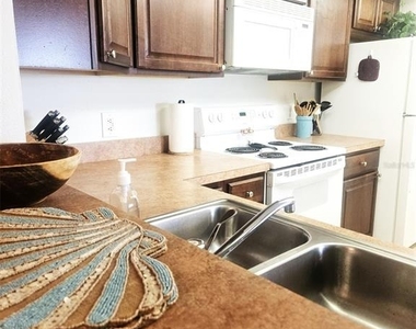 307 Pine Hollow Circle - Photo Thumbnail 32