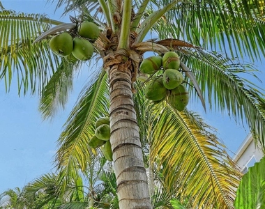 1738 Siesta Drive - Photo Thumbnail 37