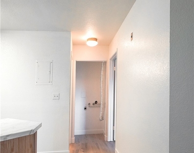 510 Elm Drive - Photo Thumbnail 4