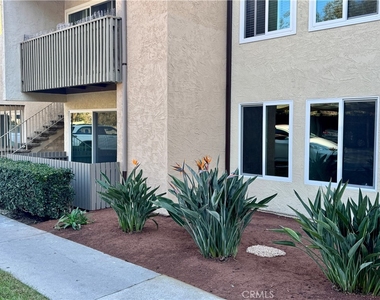 432 Edgehill - Photo Thumbnail 25