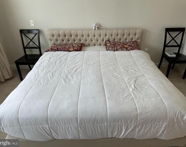 17227 Branched Oak Road - Photo Thumbnail 20