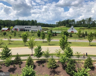 17227 Branched Oak Road - Photo Thumbnail 57
