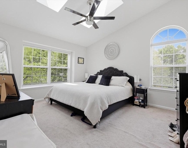 12 Timbercrest Drive - Photo Thumbnail 19