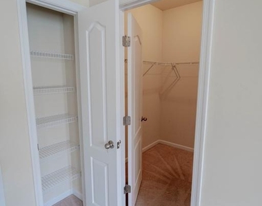 5004 Forest Pines Drive - Photo Thumbnail 25