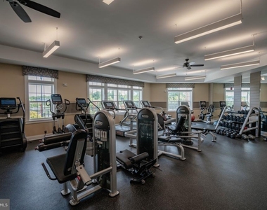 5004 Forest Pines Drive - Photo Thumbnail 56